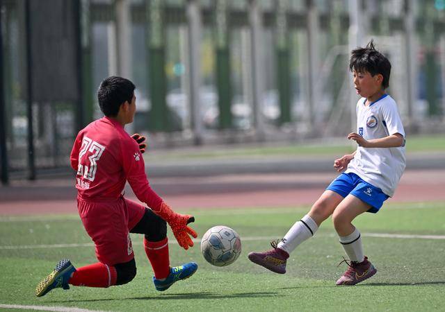 关于青少年足球校际比赛精彩纷呈，培养新鲜血液的信息