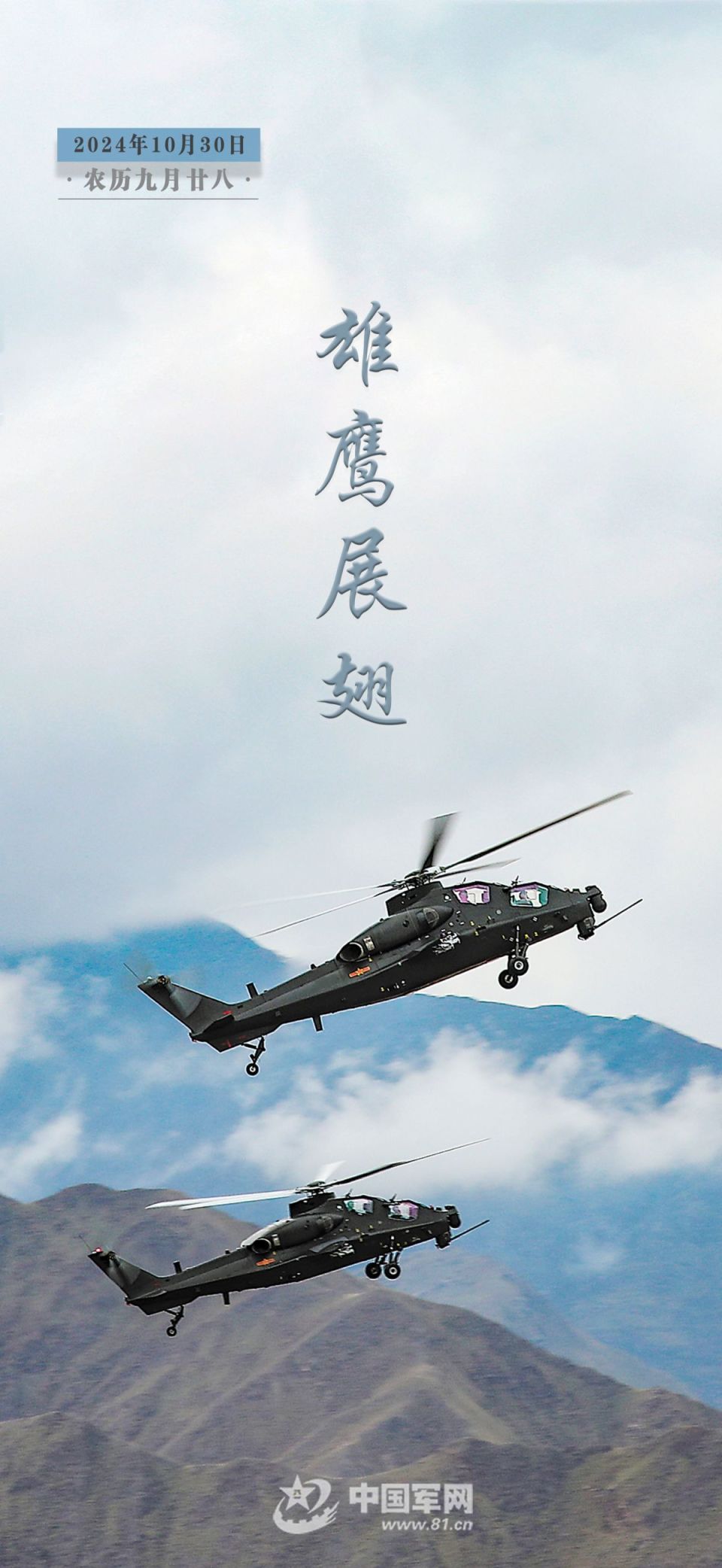 关于传统猎鹰飞行比赛，古老技艺焕发新光彩的信息