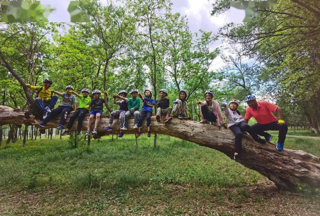 野外生存技能争霸，锤炼极限反应与合作精神的简单介绍